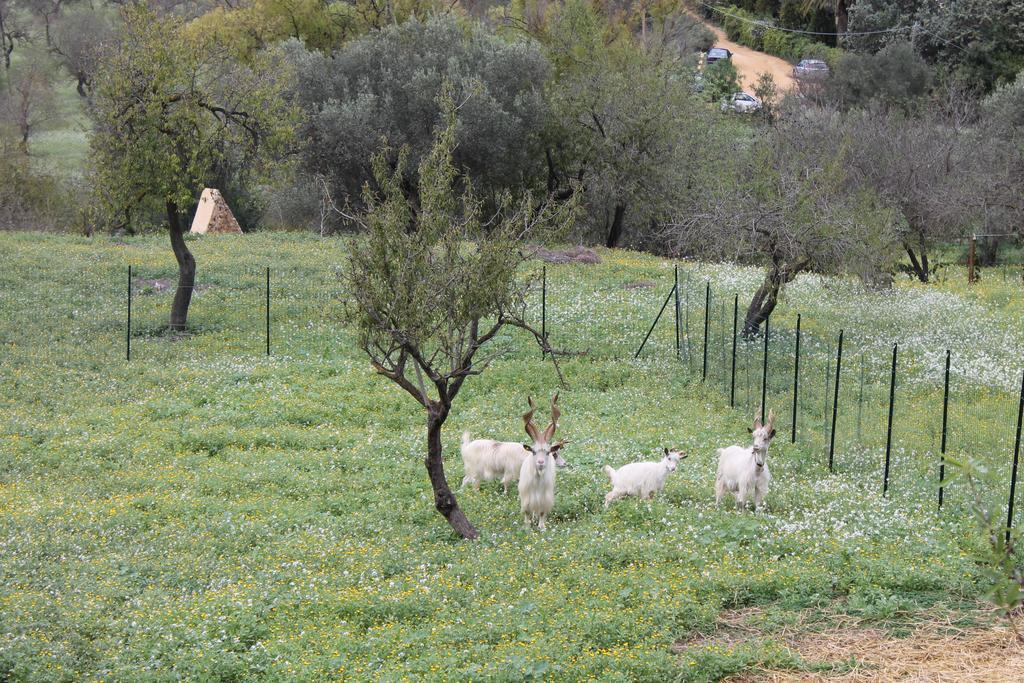 Casa Vistosa Agrigento Exterior foto